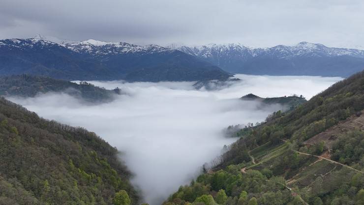 Rize'nin yüksek kesimlerinde 'bulut denizi' 1