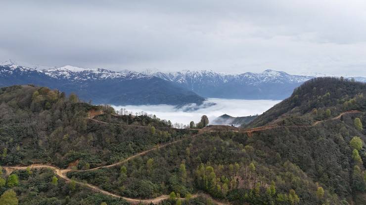 Rize'nin yüksek kesimlerinde 'bulut denizi' 14