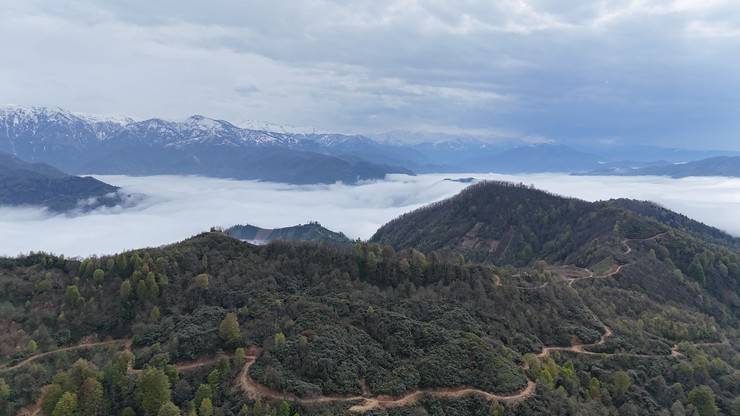 Rize'nin yüksek kesimlerinde 'bulut denizi' 16