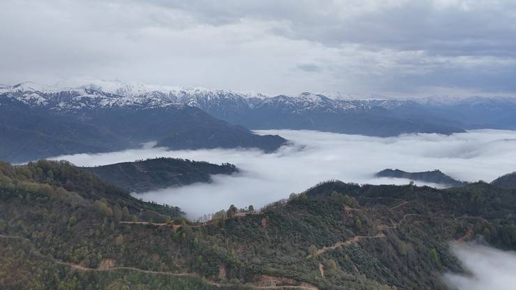 Rize'nin yüksek kesimlerinde 'bulut denizi' 17