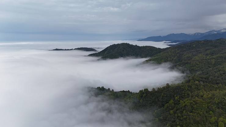 Rize'nin yüksek kesimlerinde 'bulut denizi' 5