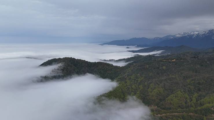 Rize'nin yüksek kesimlerinde 'bulut denizi' 7