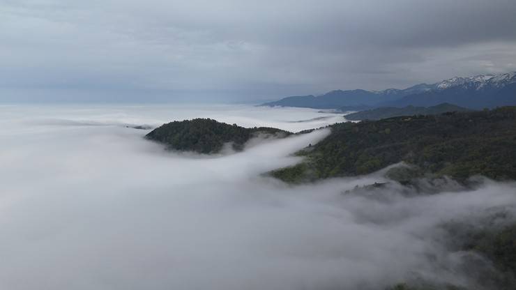 Rize'nin yüksek kesimlerinde 'bulut denizi' 8