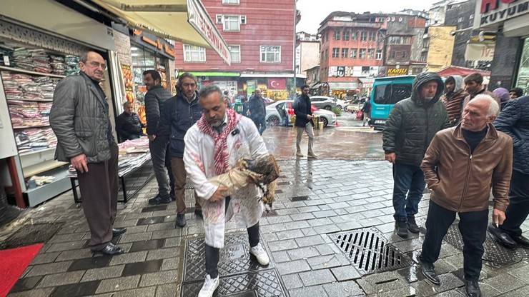 Artvin Çoruh Üniversitesi Öğretim Üyesi Sağlam'dan Rize'de Duygu Yüklü Gazze Protestosu 11