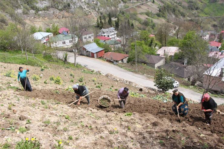 Karadeniz kadınının zorlu mesaisi başladı 10