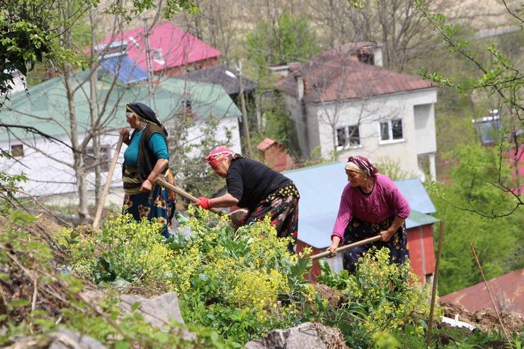 Karadeniz kadınının zorlu mesaisi başladı 3