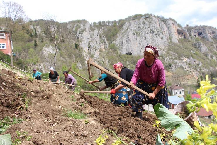 Karadeniz kadınının zorlu mesaisi başladı 4