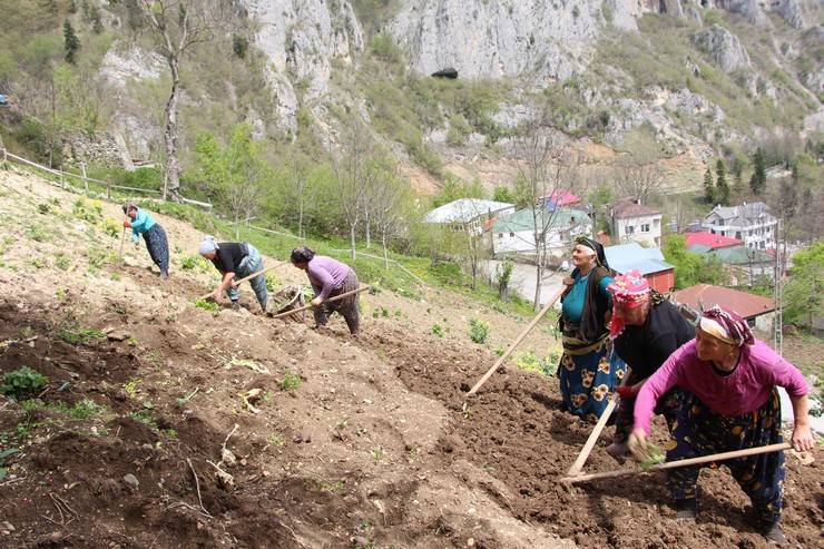 Karadeniz kadınının zorlu mesaisi başladı 9