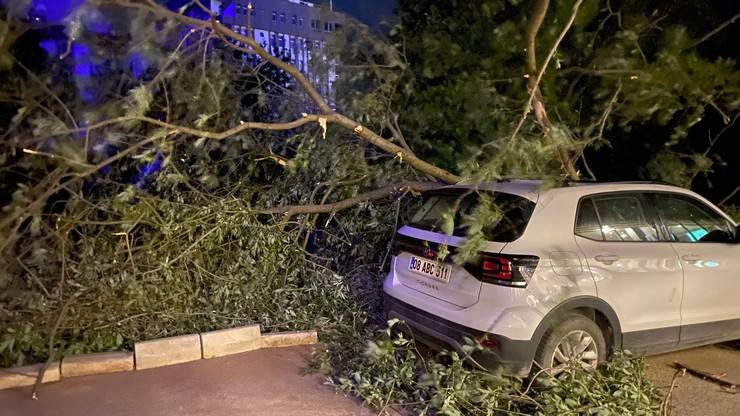 Artvin’de fırtına çatıları uçurdu, ağaçlar devrildi 4