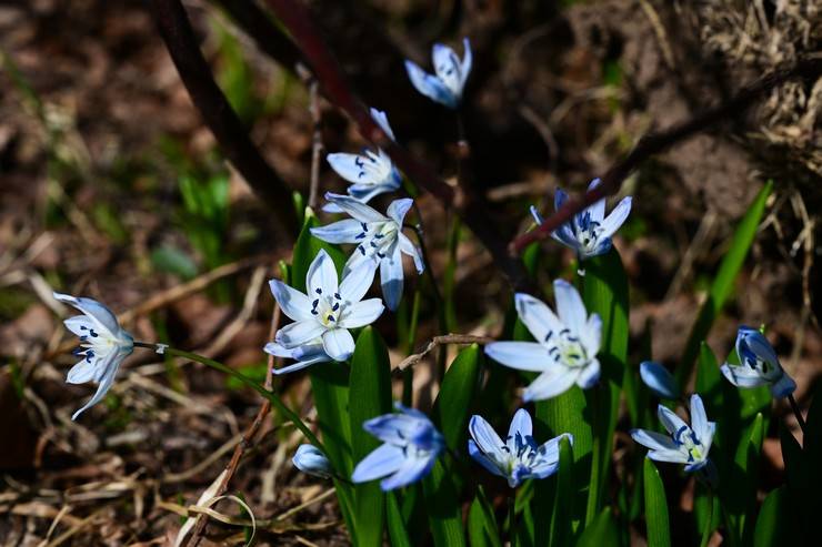 Rize doğal güzellikleriyle ziyaretçilerini bekliyor 4