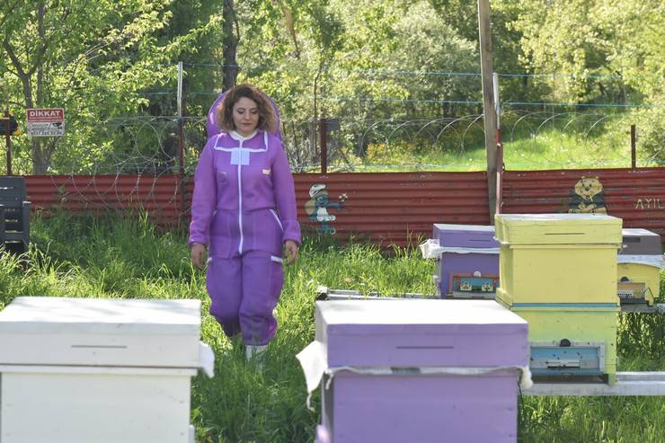 Kadın arıcı 2 kovanla başladığı arıcılıkta bu yıl yaklaşık 1,5 ton bal bekliyor 1