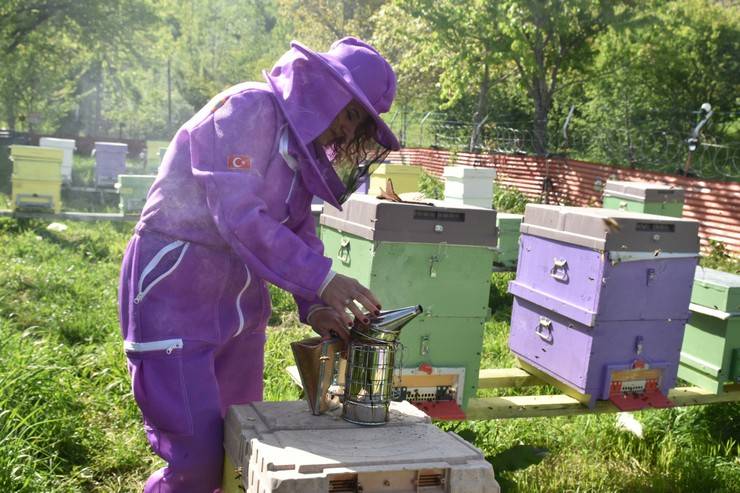 Kadın arıcı 2 kovanla başladığı arıcılıkta bu yıl yaklaşık 1,5 ton bal bekliyor 8
