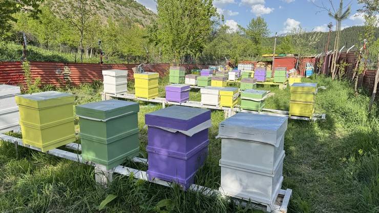Kadın arıcı 2 kovanla başladığı arıcılıkta bu yıl yaklaşık 1,5 ton bal bekliyor 9