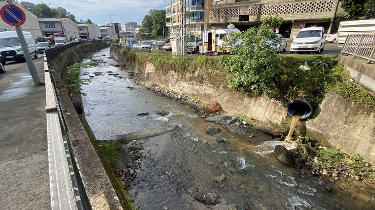 Rize’de derede balık ölümlerine inceleme 1