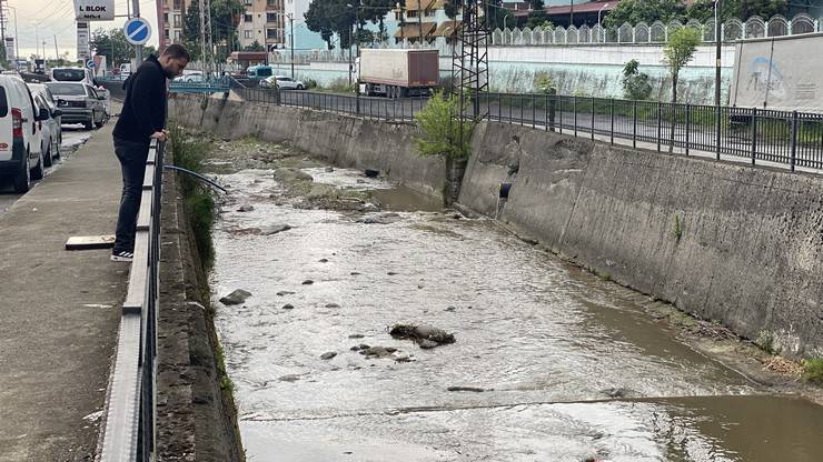 Rize’de derede balık ölümlerine inceleme 5