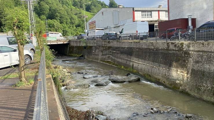 Rize’de derede balık ölümlerine inceleme 8