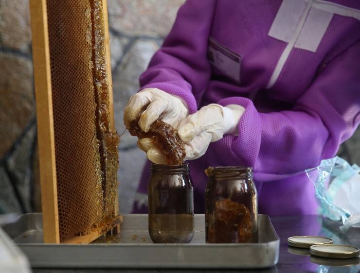 Dünyaca ünlü Anzer balının üretimi için mühürlenen peteklerden numune alındı 1