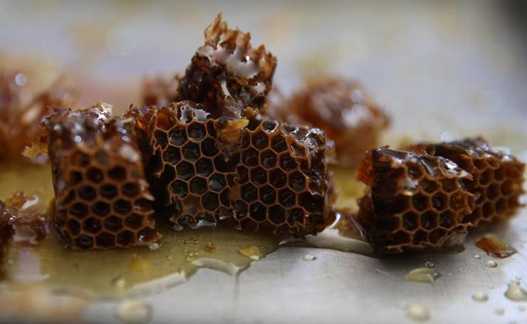 Dünyaca ünlü Anzer balının üretimi için mühürlenen peteklerden numune alındı 10