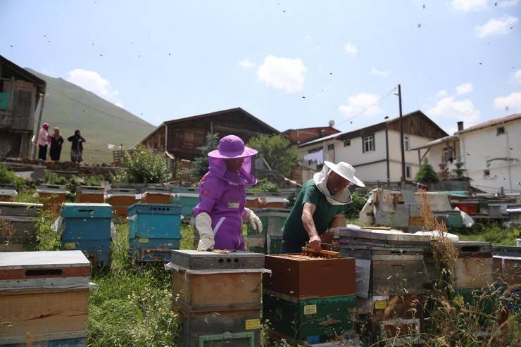 Dünyaca ünlü Anzer balının üretimi için mühürlenen peteklerden numune alındı 4