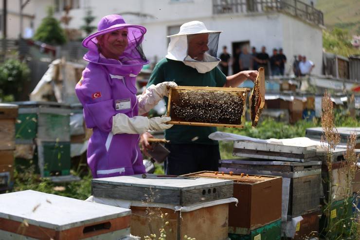 Dünyaca ünlü Anzer balının üretimi için mühürlenen peteklerden numune alındı 6