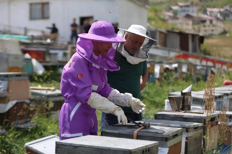 Dünyaca ünlü Anzer balının üretimi için mühürlenen peteklerden numune alındı 8