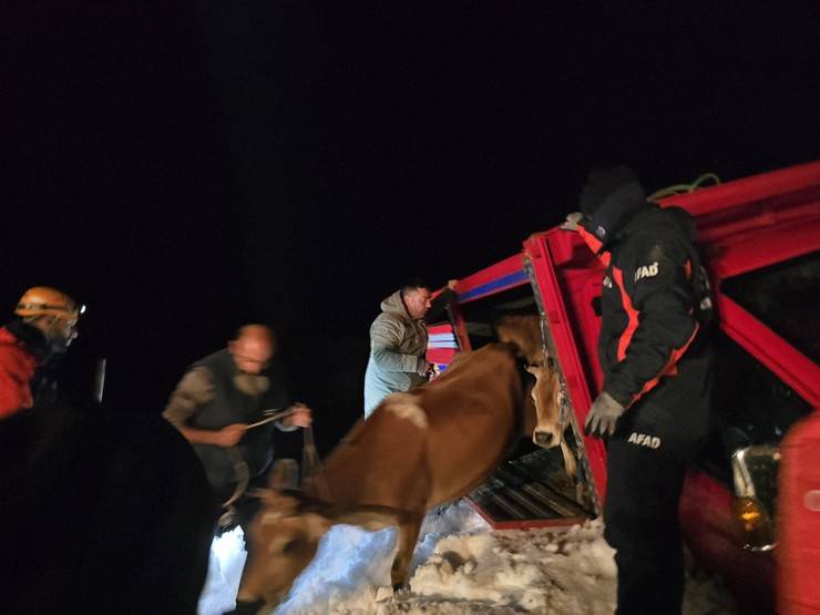 Rize'de yaylada 6 aracın üzerine çığ düştü; mahsur kalan 15 kişi kurtarıldı 2