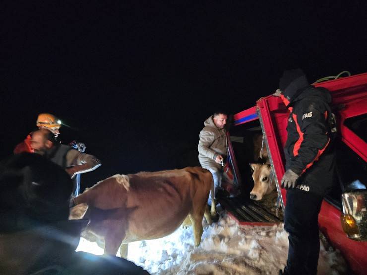 Rize'de yaylada 6 aracın üzerine çığ düştü; mahsur kalan 15 kişi kurtarıldı 5