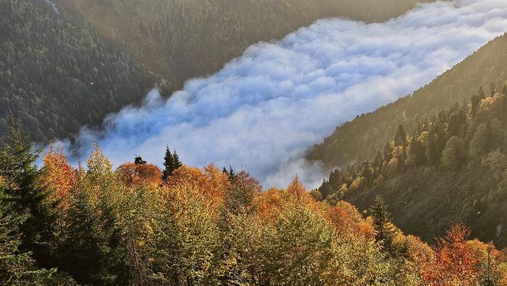 Kaçkar Dağları sonbahar renklerine büründü 10