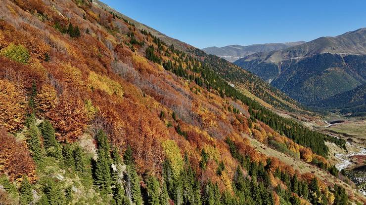 Kaçkar Dağları sonbahar renklerine büründü 11