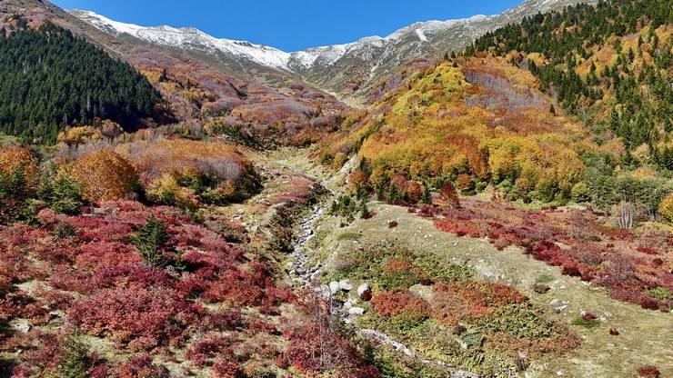 Kaçkar Dağları sonbahar renklerine büründü 12