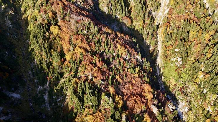 Kaçkar Dağları sonbahar renklerine büründü 14