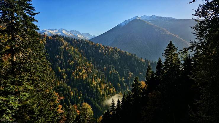 Kaçkar Dağları sonbahar renklerine büründü 2