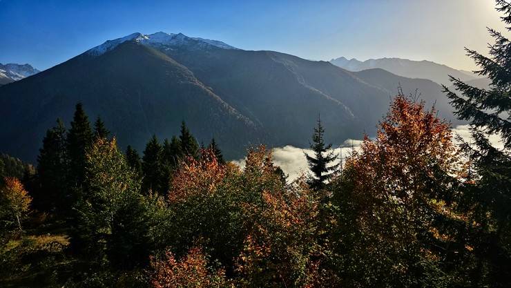 Kaçkar Dağları sonbahar renklerine büründü 3