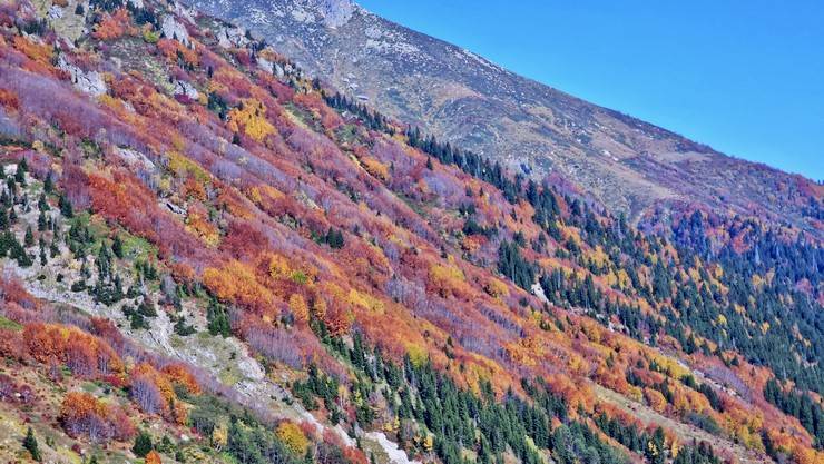 Kaçkar Dağları sonbahar renklerine büründü 7
