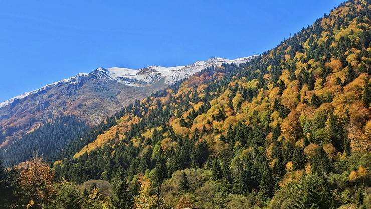 Kaçkar Dağları sonbahar renklerine büründü 8