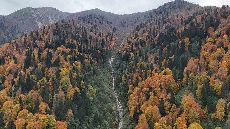 Rize'de Ayder Yaylası'nda sonbahar renkleri hakim oldu 1