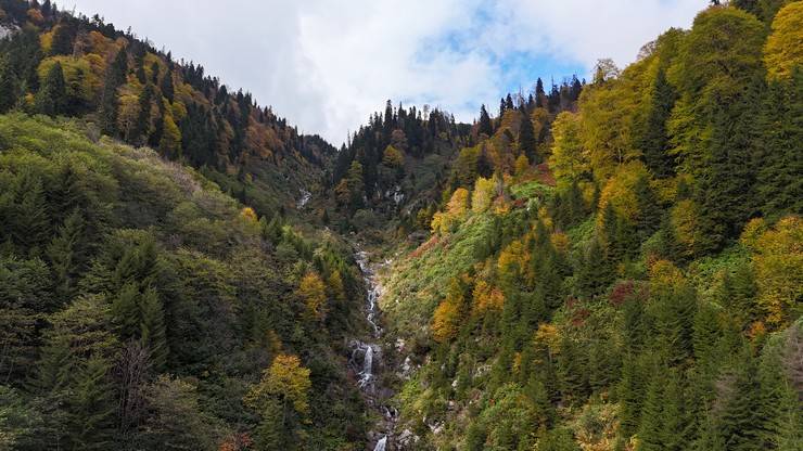 Rize'de Ayder Yaylası'nda sonbahar renkleri hakim oldu 4