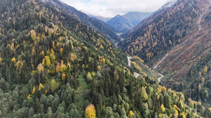 Rize'de Ayder Yaylası'nda sonbahar renkleri hakim oldu 6