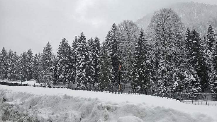 Rize’de kar ve soğuk hava etkisini sürdürüyor. 1