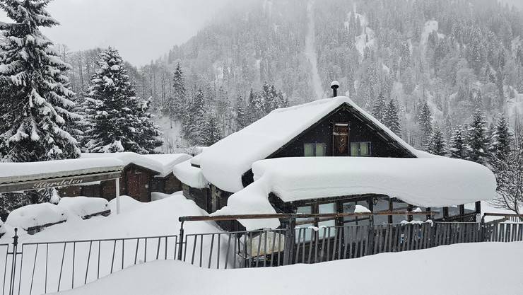 Rize’de kar ve soğuk hava etkisini sürdürüyor. 10