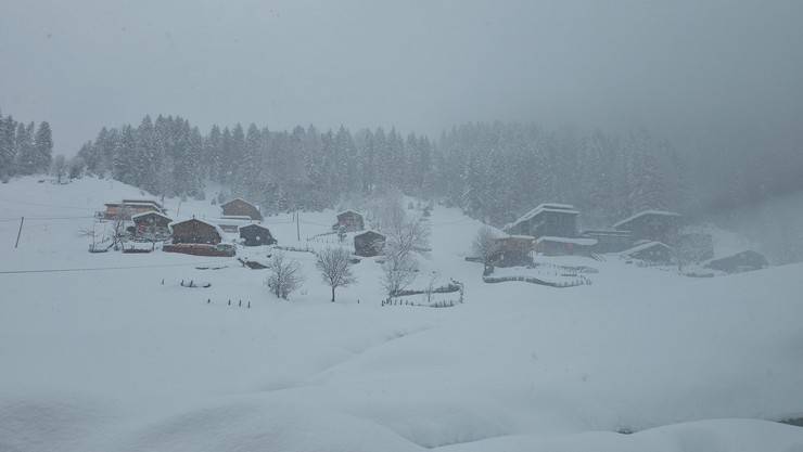 Rize’de kar ve soğuk hava etkisini sürdürüyor. 2