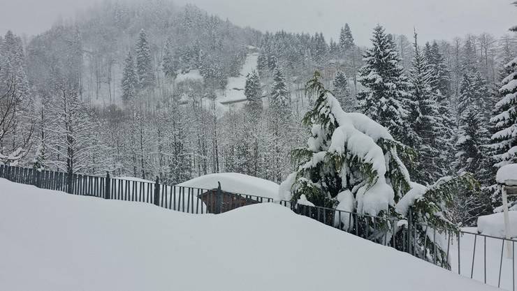 Rize’de kar ve soğuk hava etkisini sürdürüyor. 6