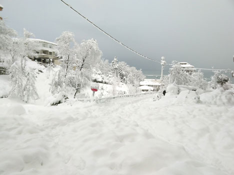 Rize'den Kar Görüntüleri 1