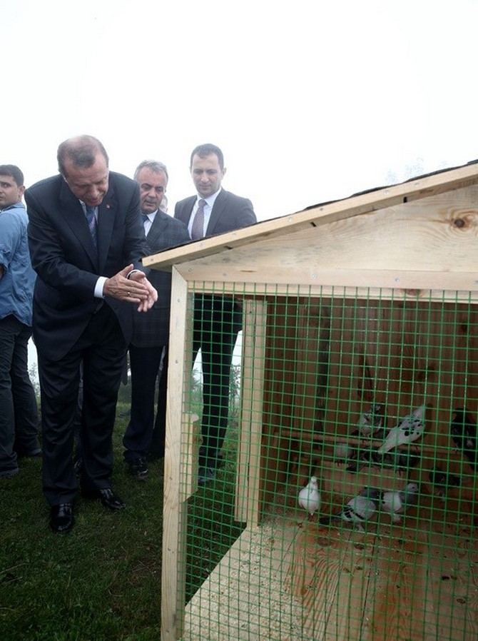 Erdoğan'ın Başına Keklik Kondu 10