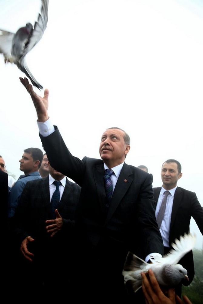 Erdoğan'ın Başına Keklik Kondu 11
