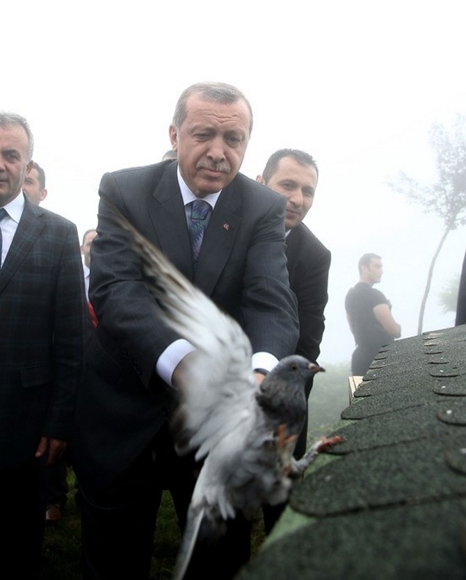 Erdoğan'ın Başına Keklik Kondu 12