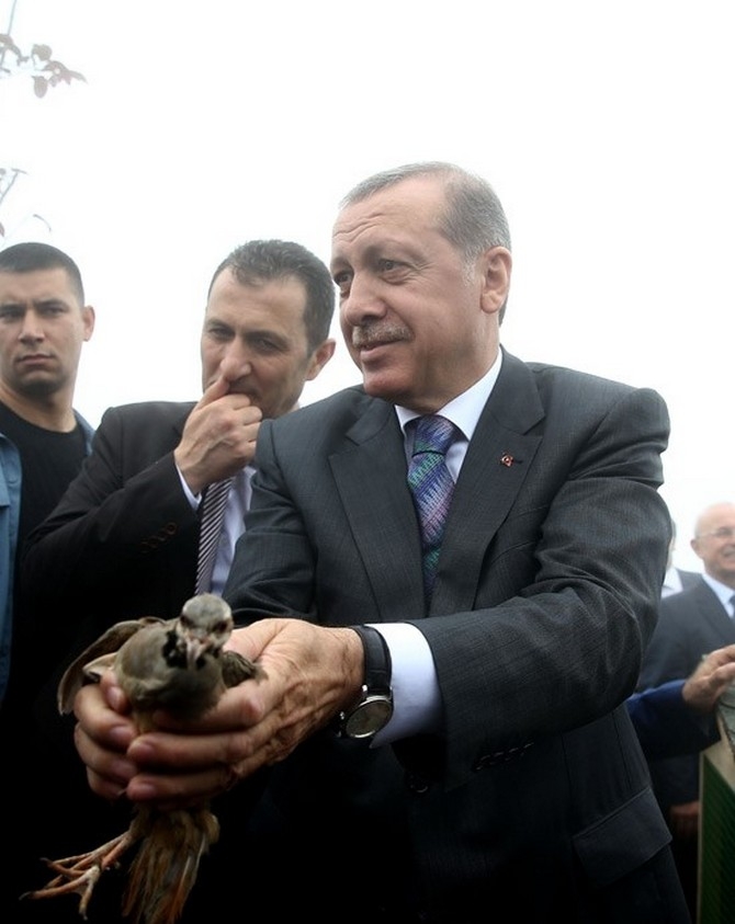 Erdoğan'ın Başına Keklik Kondu 13