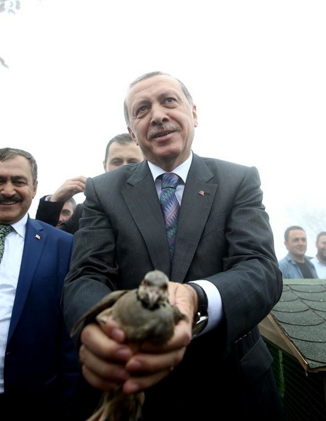 Erdoğan'ın Başına Keklik Kondu 14