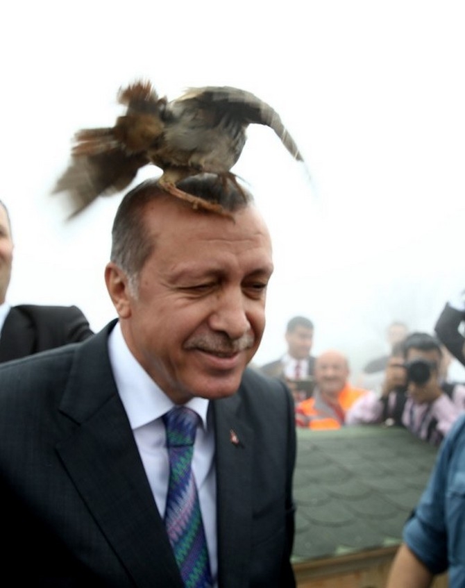 Erdoğan'ın Başına Keklik Kondu 15