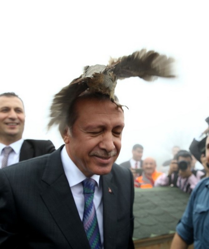 Erdoğan'ın Başına Keklik Kondu 16